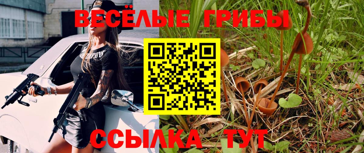 Псилоцибиновые грибы MAGIC MUSHROOMS  Вход с VPN  Зерноград  как найти закладки  Псилоцибиновые грибы Psilocybe 